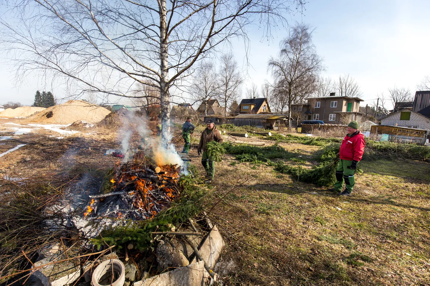 Puhta puidu põletamine.