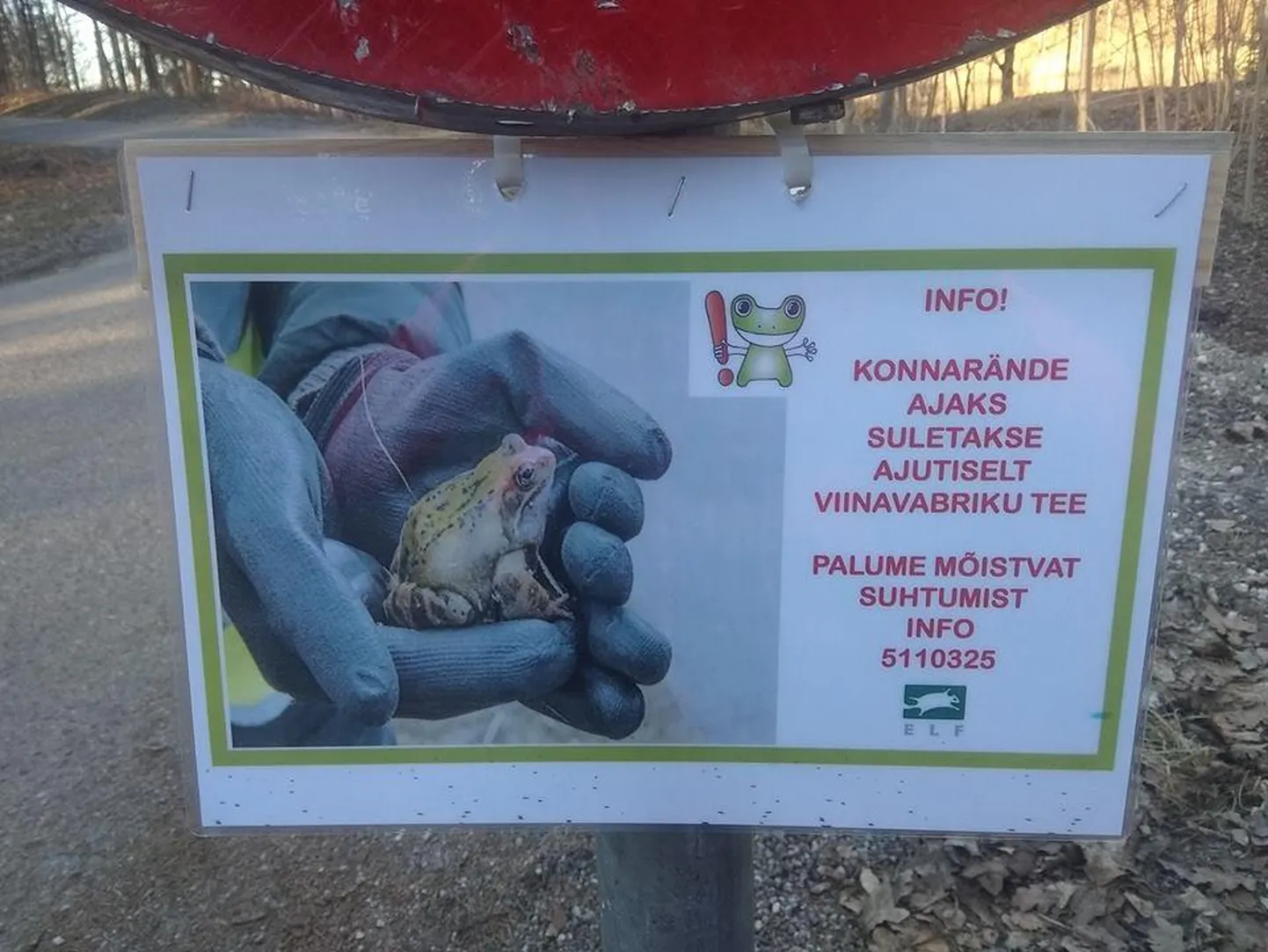 Porkuni Viinavabriku tee suleti konnarände tõttu liiklusele.