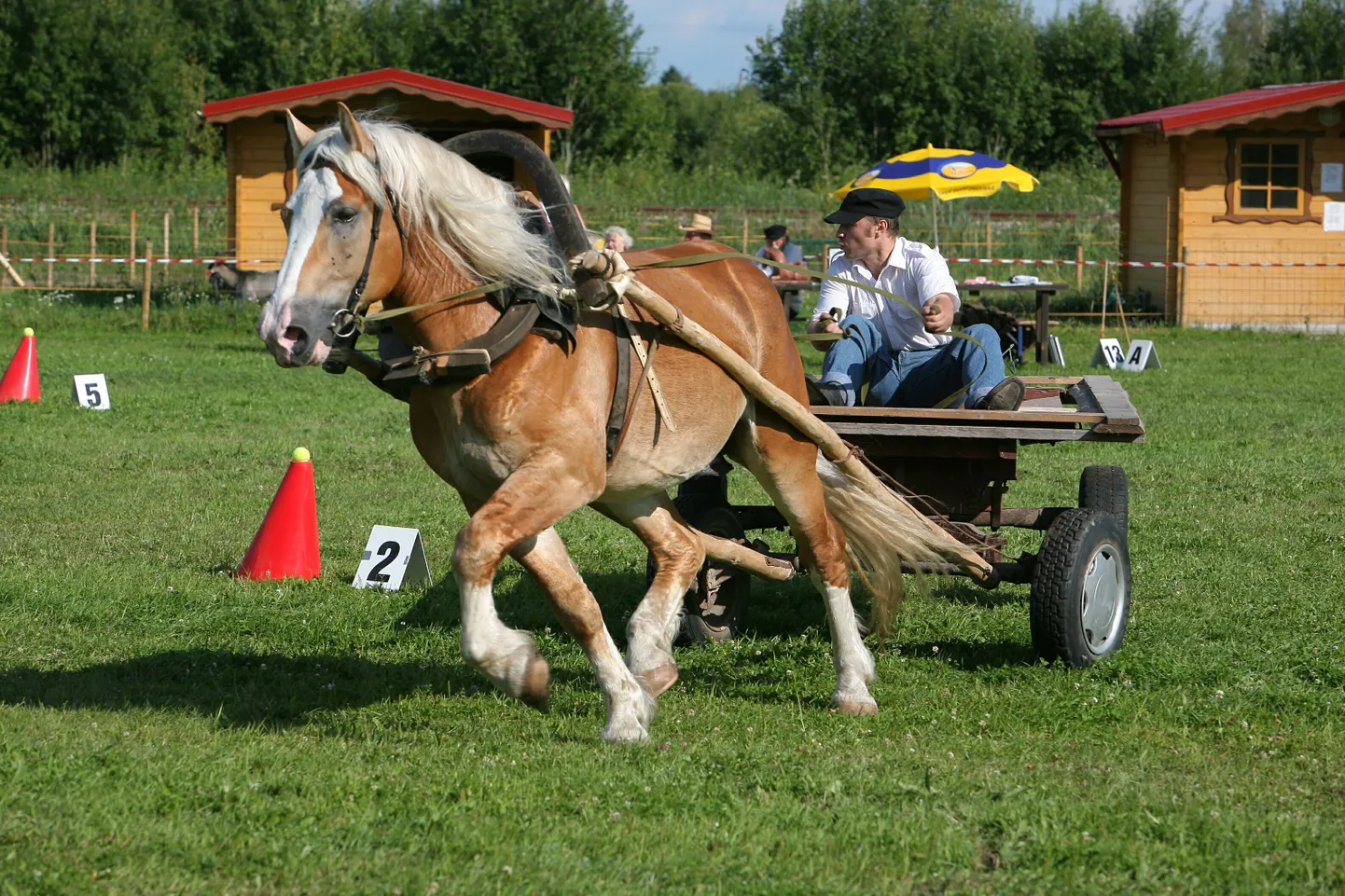 Raskeveohobune. Foto on illustratiivne.