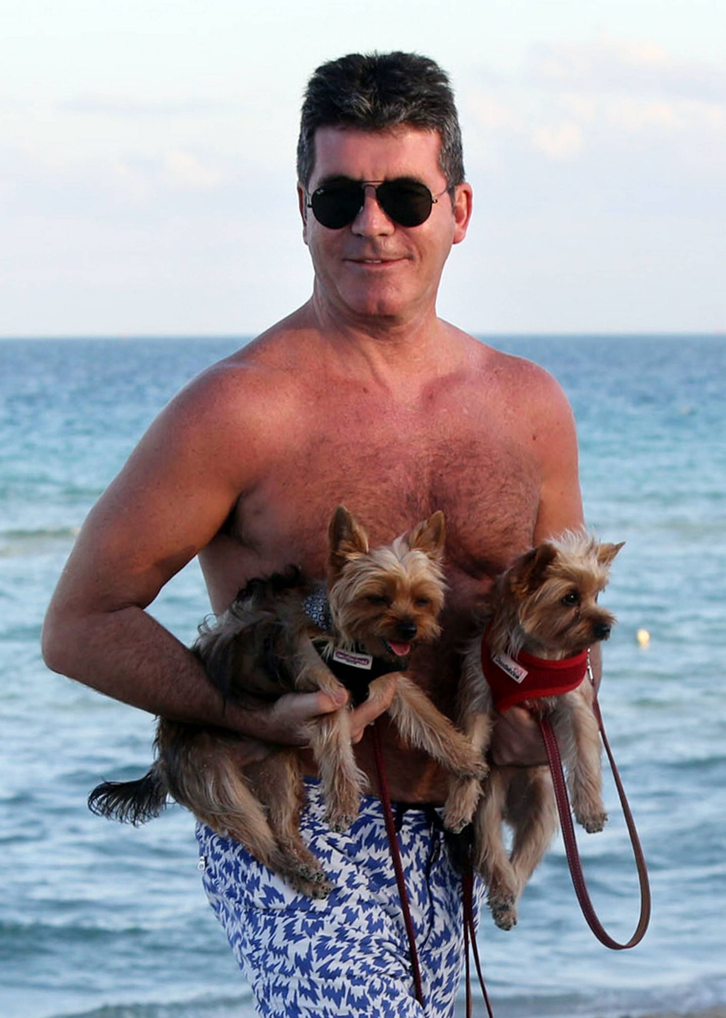 Simon Cowell ja tema koerad Squiddly ja Diddly.