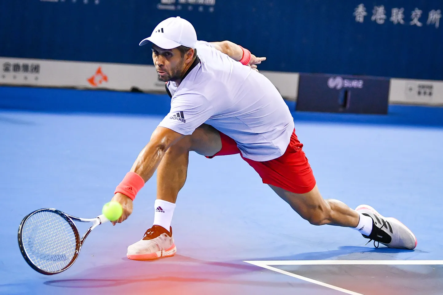 Fernando Verdasco sai hakkama inetu teoga.