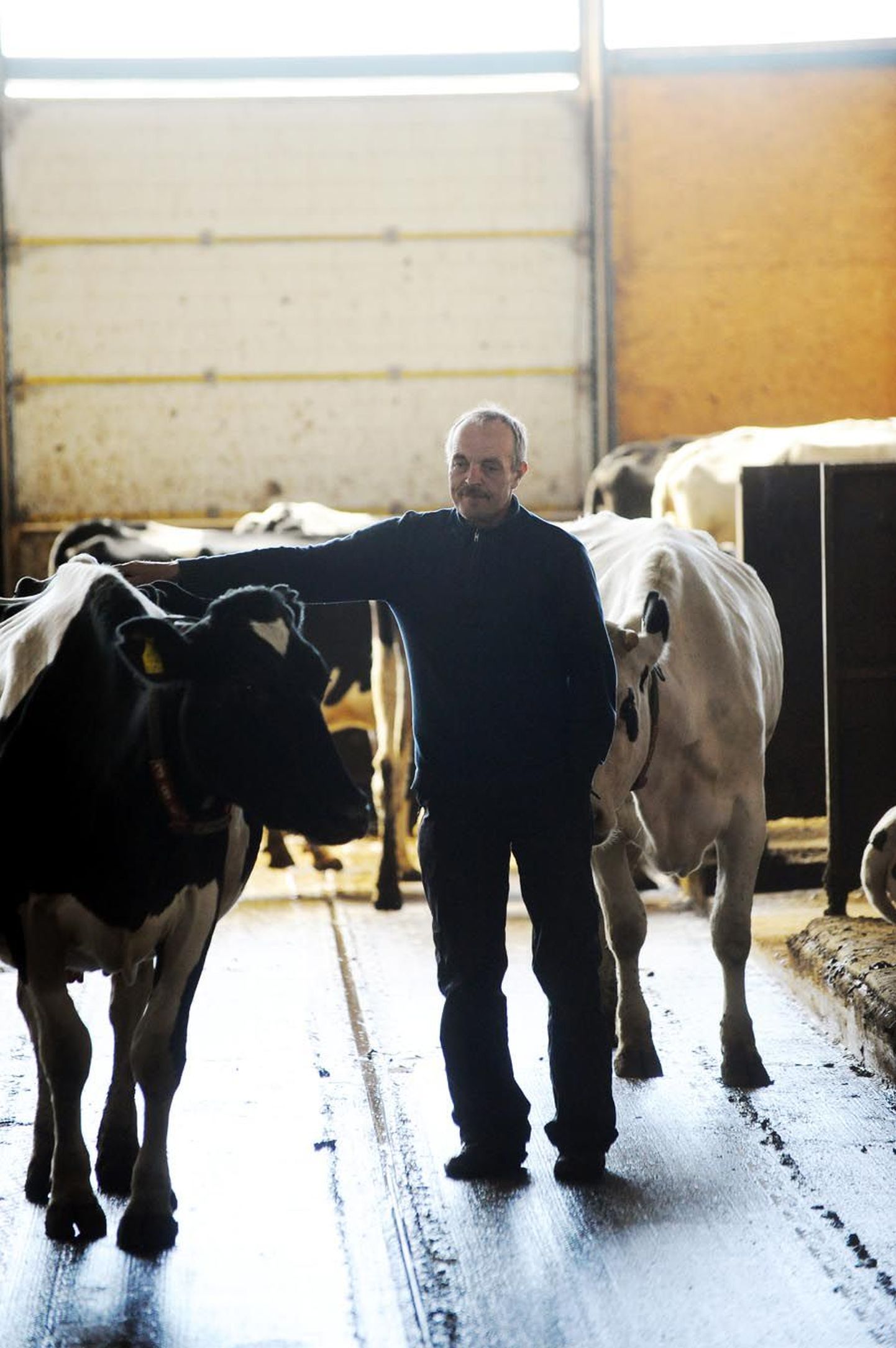AS Pakari juhataja Endel Albin peab Euroopa Komisjoni ettepanekut väga õigeks, kuid kahtleb, kas see aitab põllumeestel piima eest kõrgemat hinda saada.