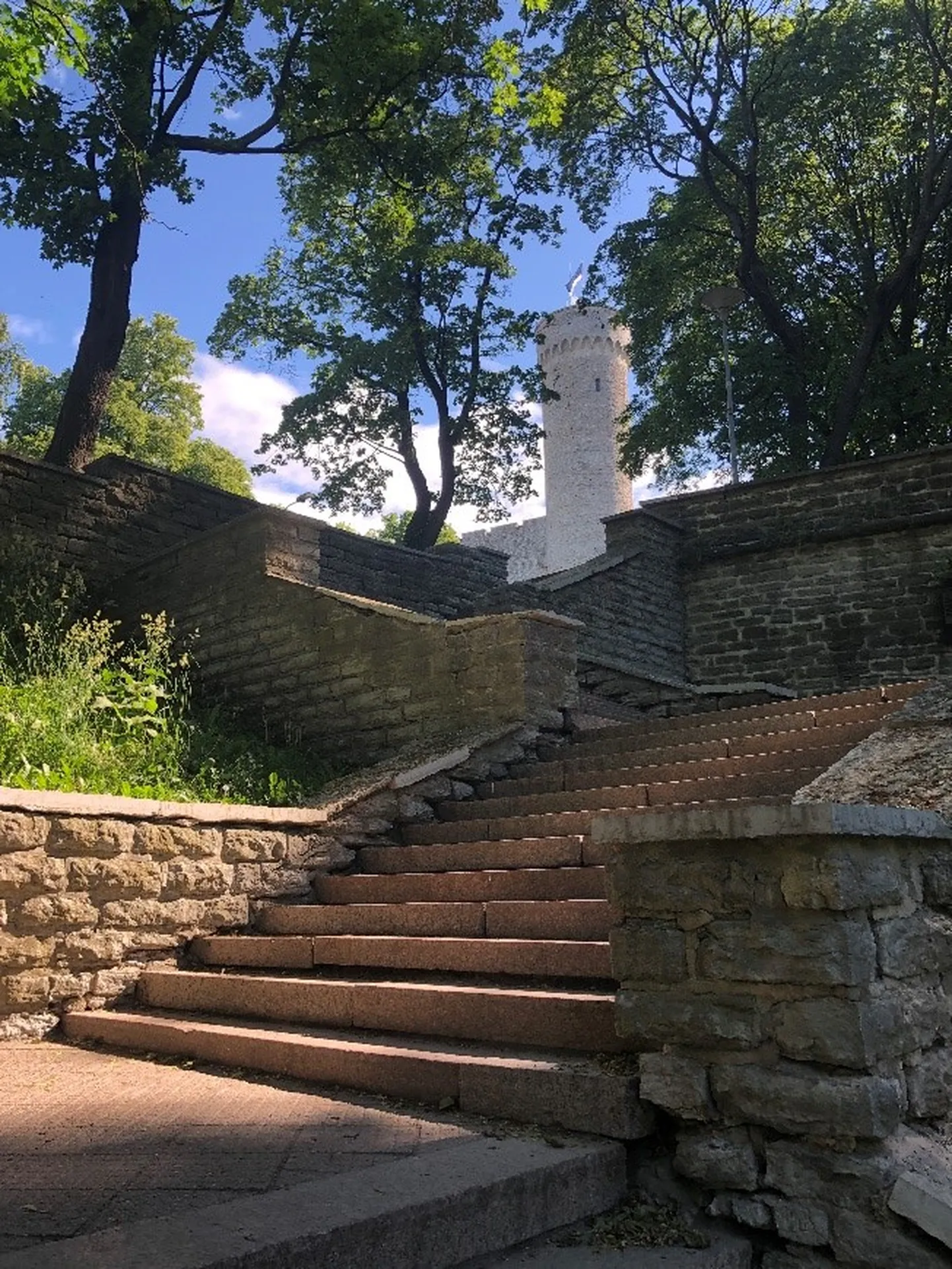 Открывшаяся панорама с лестницы парка Хирве на башню Длинный Герман.