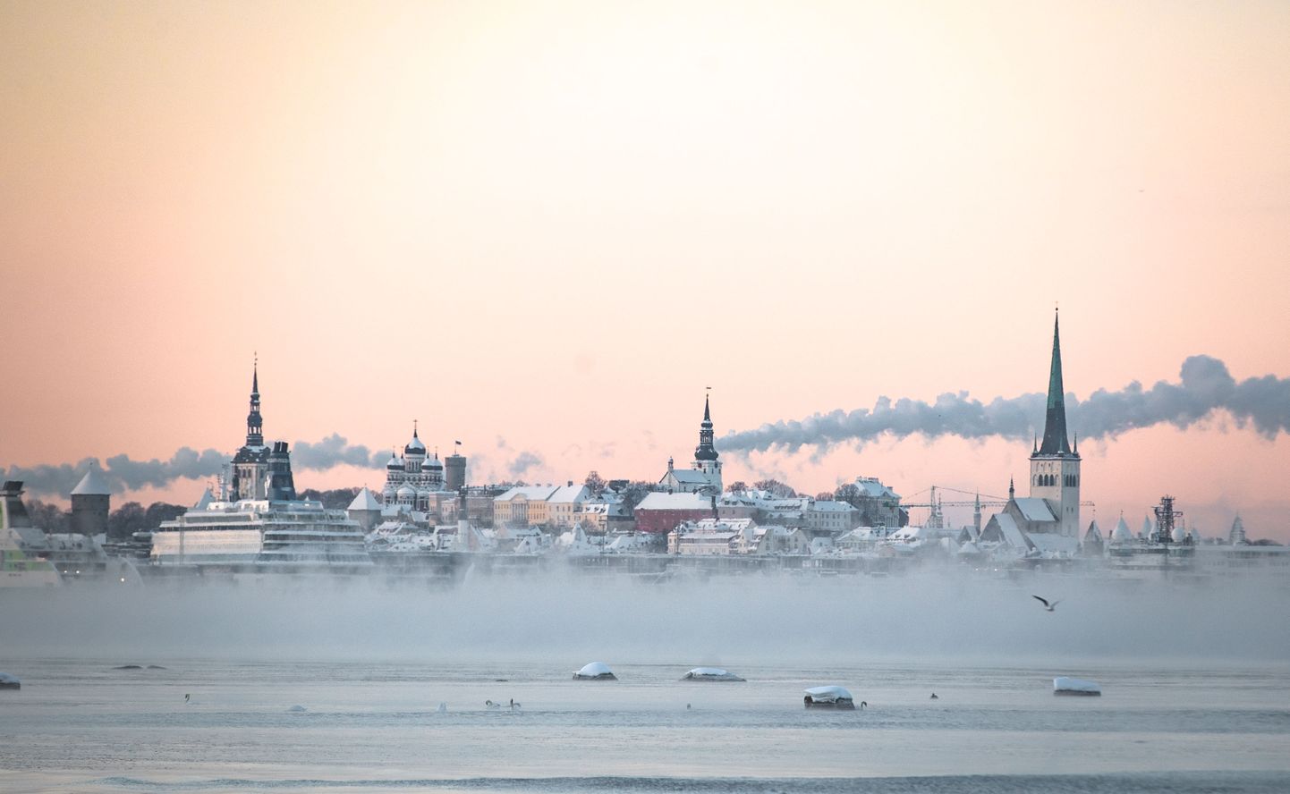 Karge talvehommik Tallinnas.