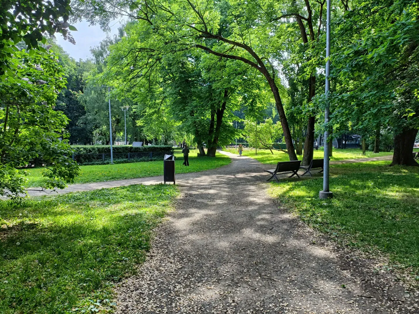 Столичный парк Лембиту.