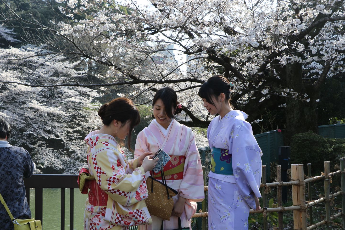 Sakurad keisripalee juures meelitavad tuhandeid külastajaid.
