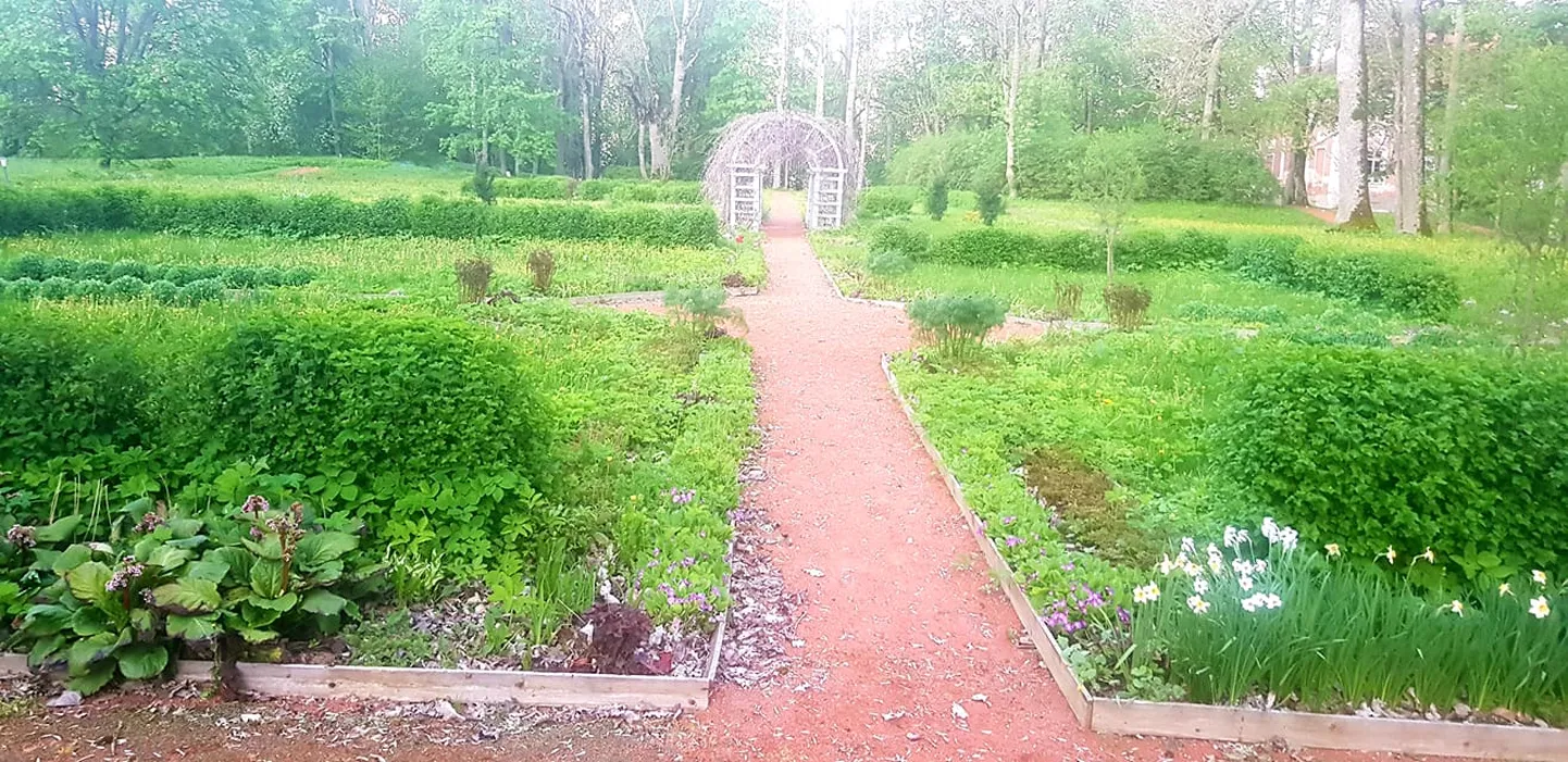 Sargvere mõisa park ootab korda tegemiseks abikäsi.