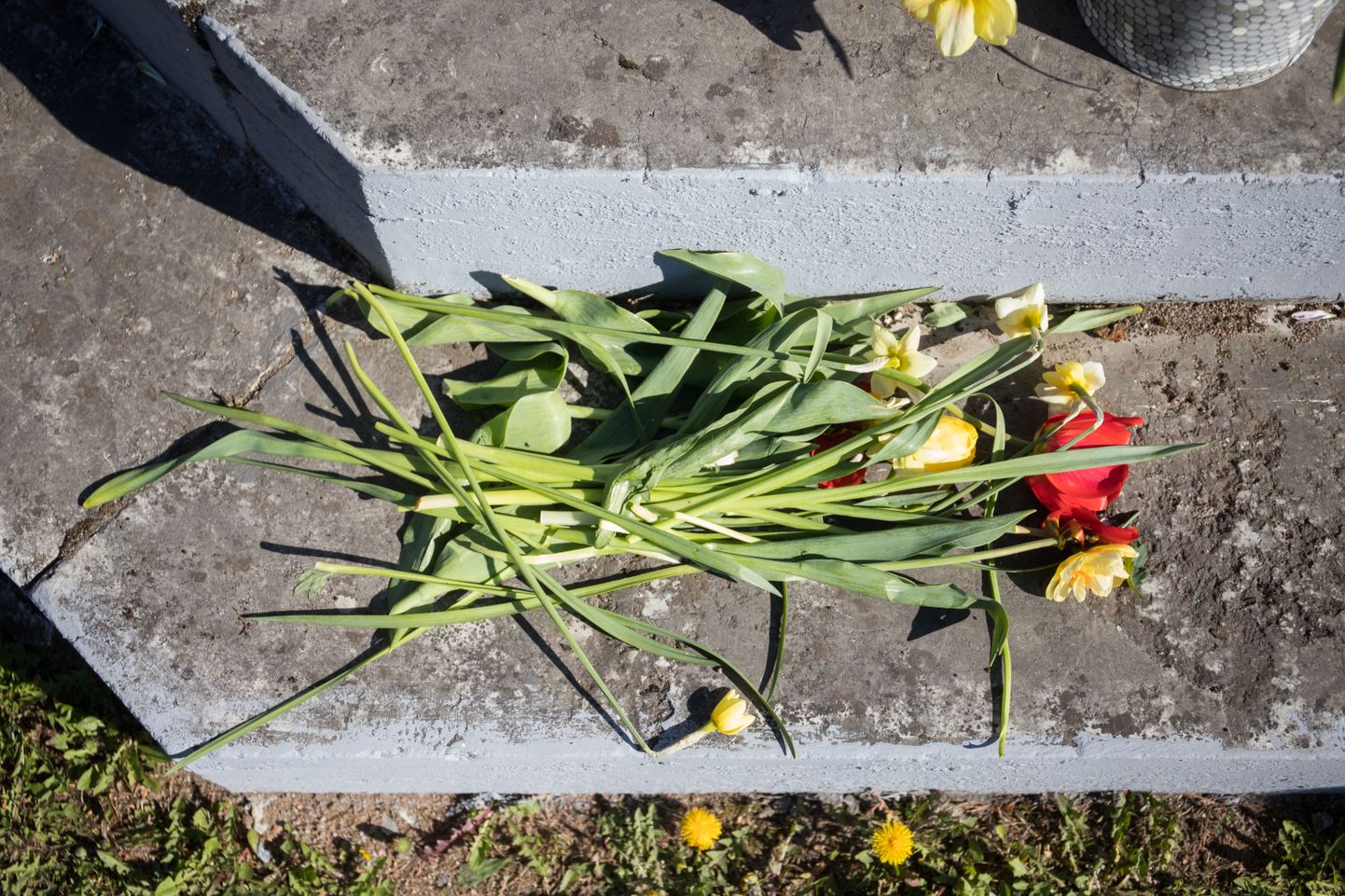 Помятые цветы у памятника в Раквере после нашествия вандалов.