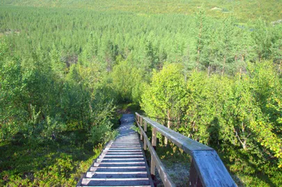 Trepp alla Teno jõe äärde.