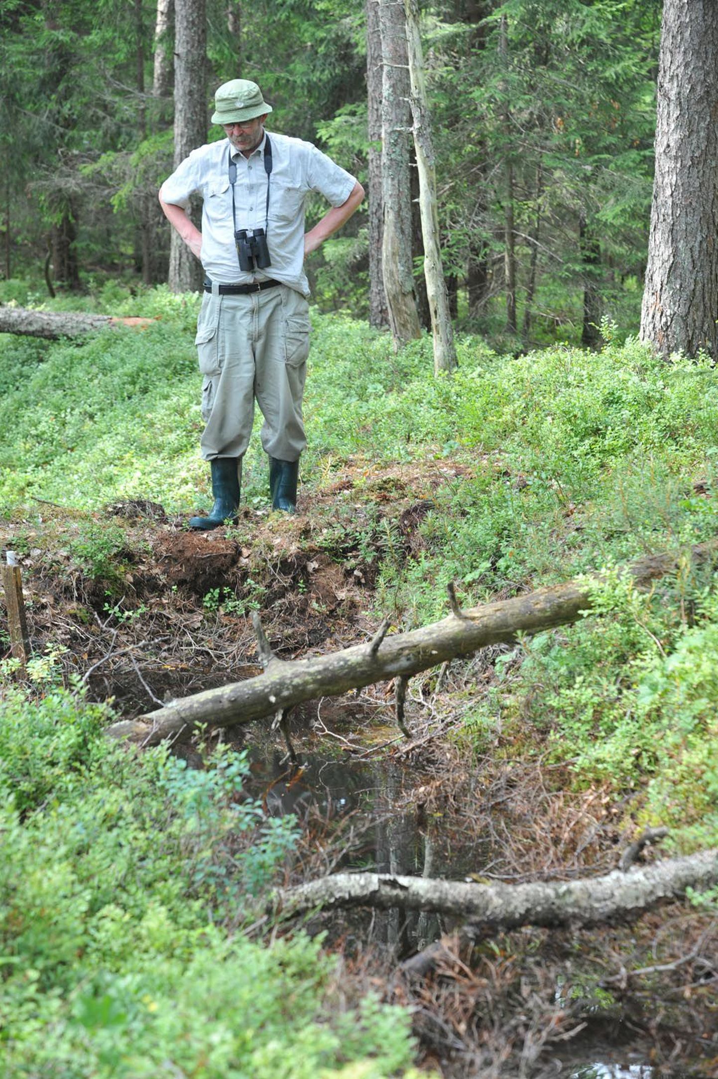 Turbasamblast tehtud tamm on tugev ja kannatab nii vett kui tallamist, nagu keskkonnaameti Pärnu-Viljandi regiooni looduskaitse juhtivspetsialist Agu Leivits tõestas.