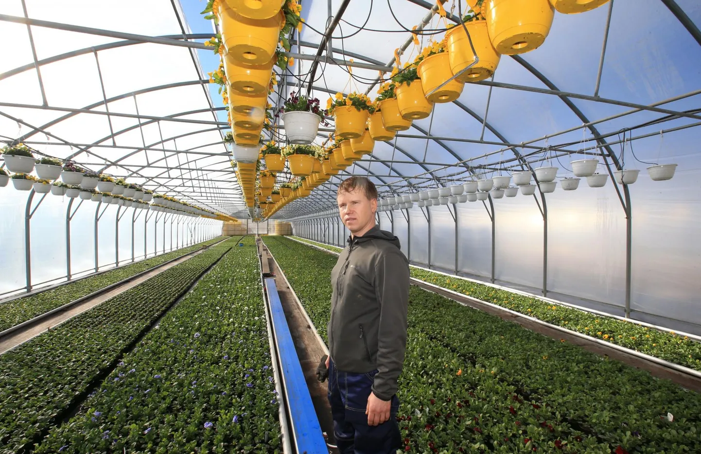 Kanepi aiandi juhi Margus Vahtramäe sõnul on see kõige mõnusam, kui ettevõtet on võimalik kui «oma muna» järjepidevalt pere sees edasi anda.