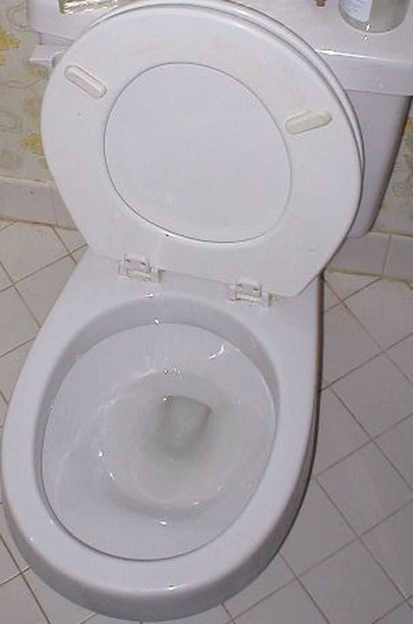 WC-pott.