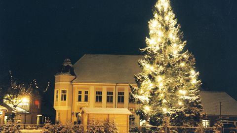 Kas just sinu kuusest saab Kuressaare tänavune esindusjõulupuu?
