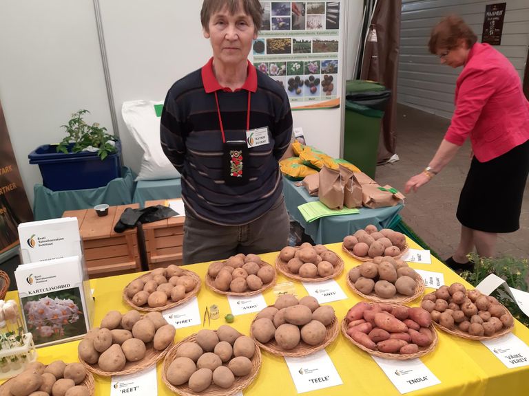 Katrin Kotkas tutvustas Eestis aretatud kartulisorte, tuleval aastal täitub kohalikul kartuliaretusel sada aastat.