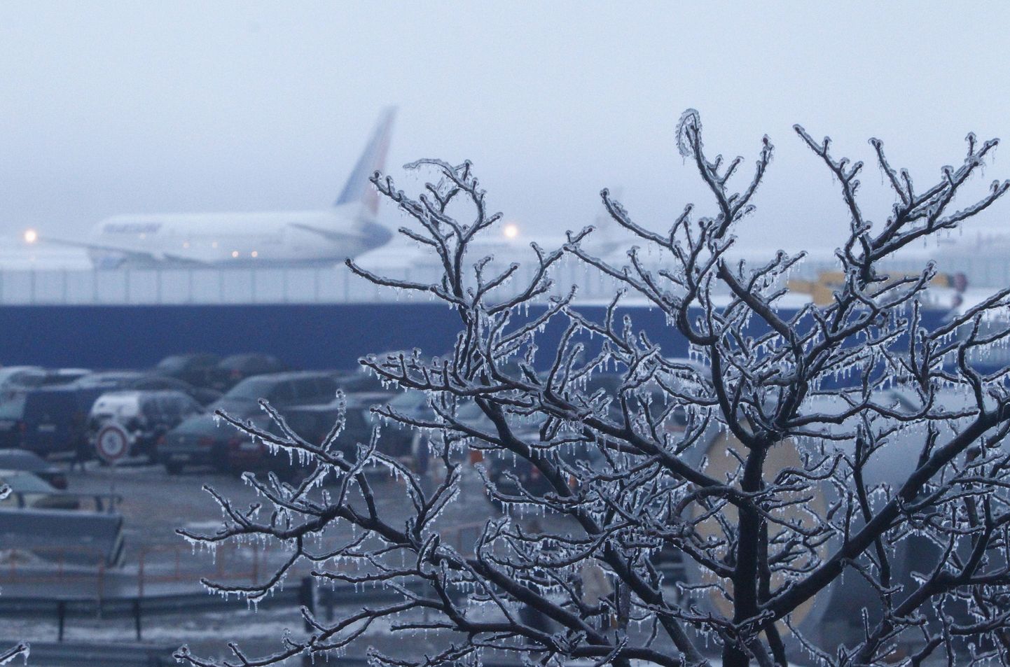 Jääga kaetud puuoks Moskvas. Taga paistab Domodedovo lennuväli.