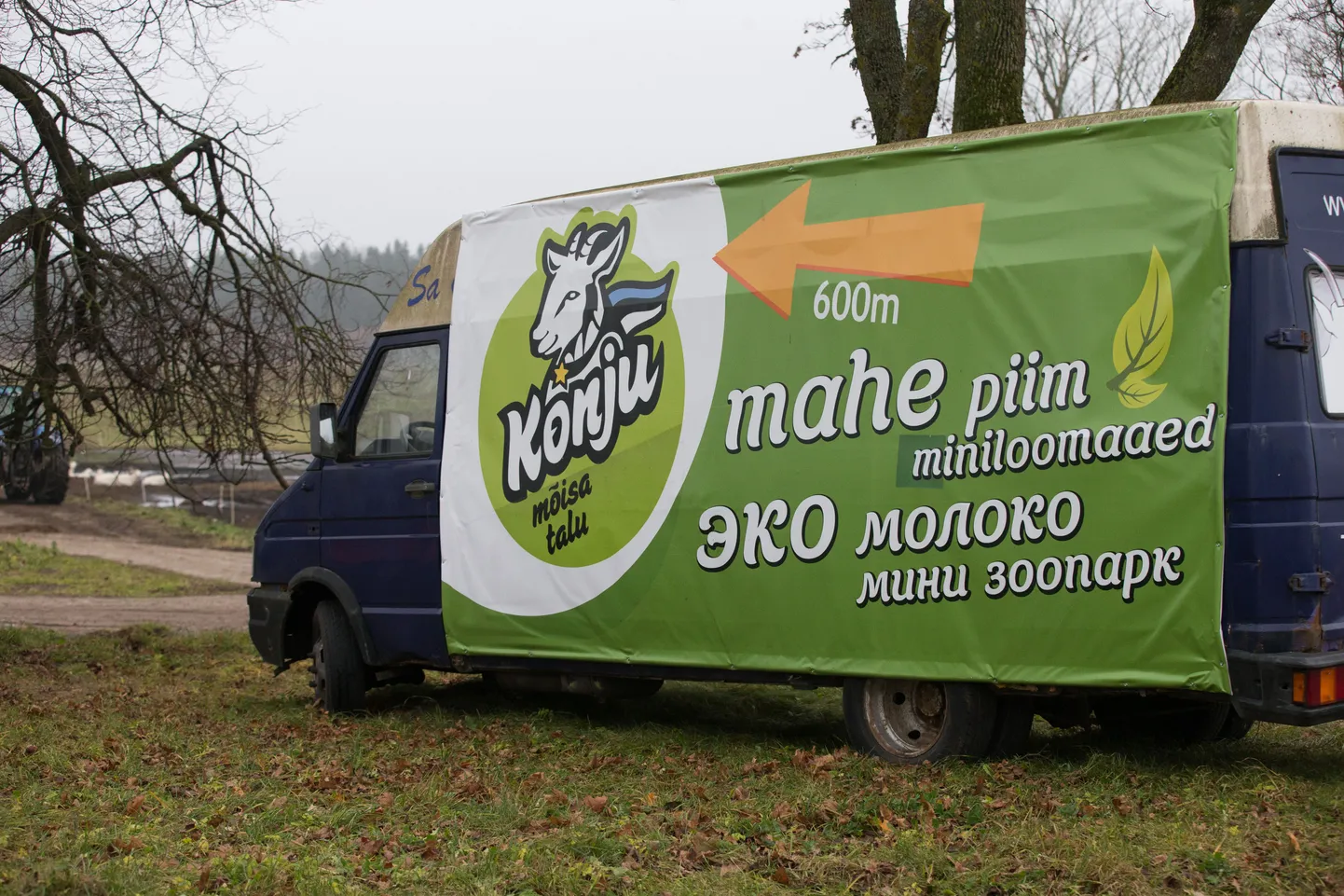 Konju kitsefarm jäi elektri eest võlgu.