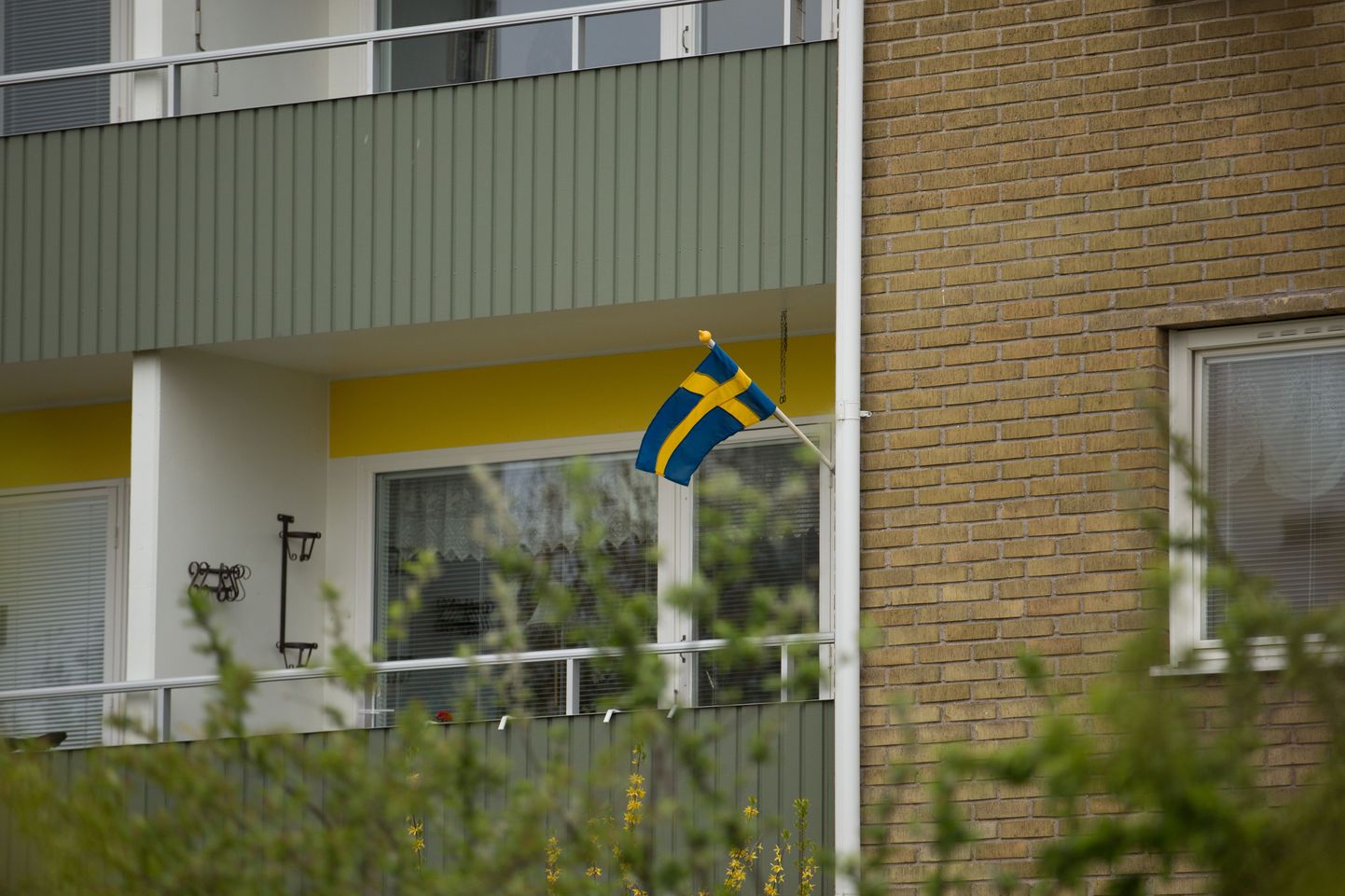 Rootsi lipp aknal.