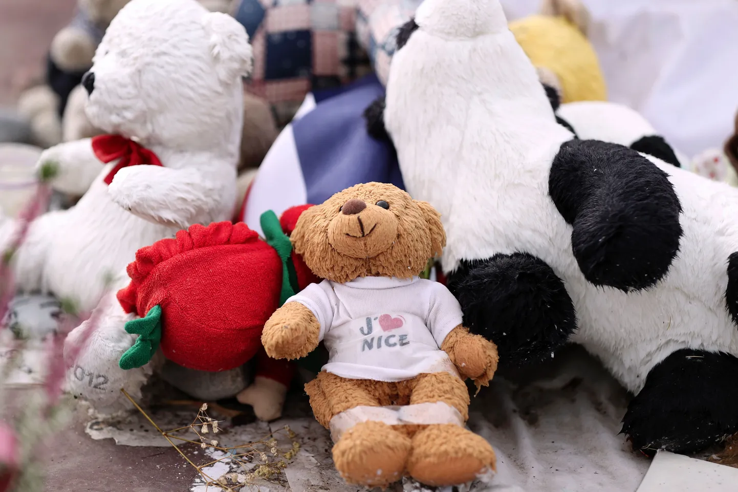 Artikli foto