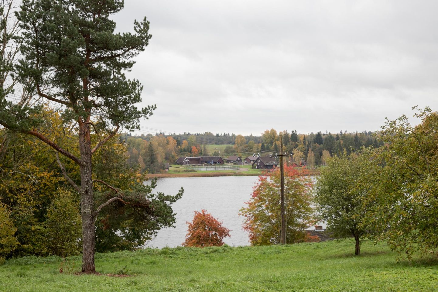 Selline vaade avaneb ühelt müüki minevalt krundilt Viljandi järvele.