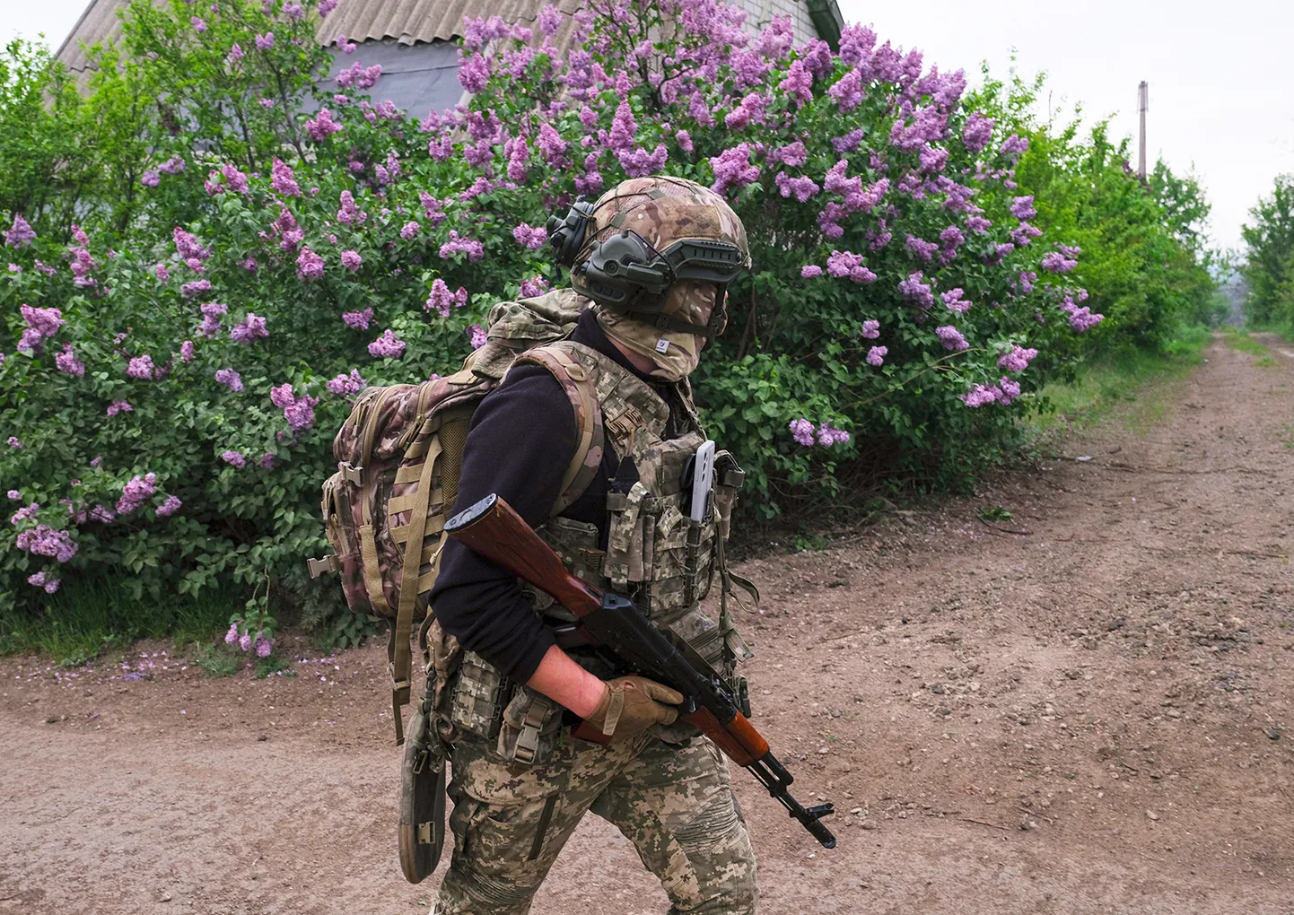 Raksta foto