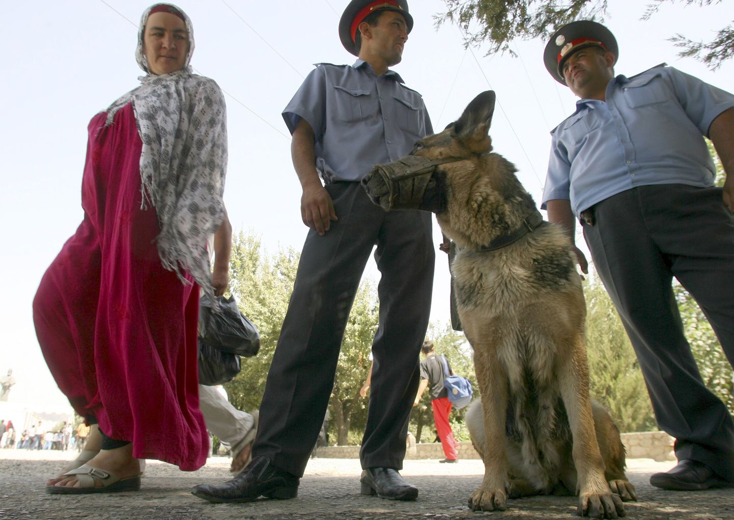 Koeraga miilitsapatrull Tadžikistani pealinnas Dušanbes.
