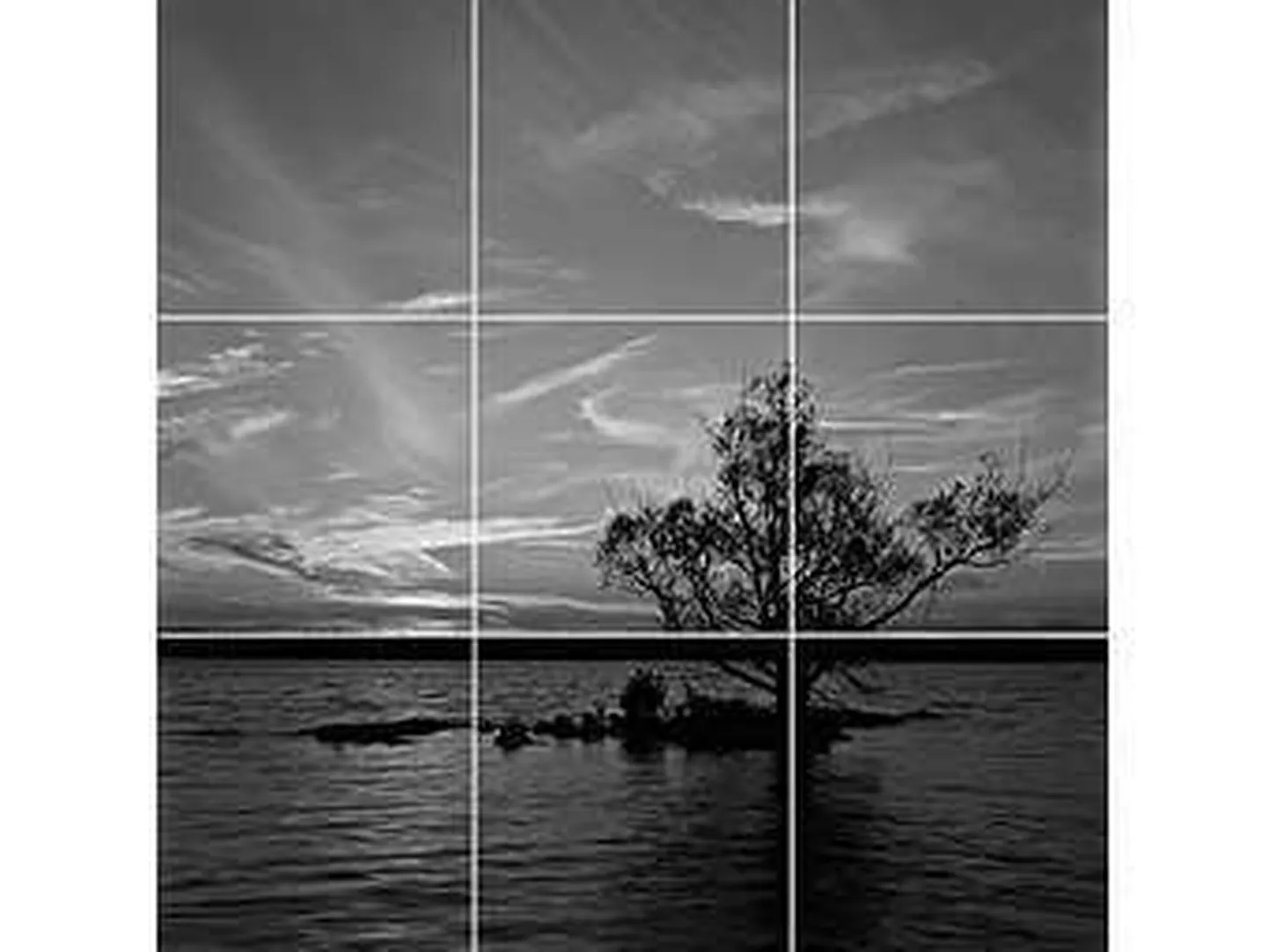 Фото статьи