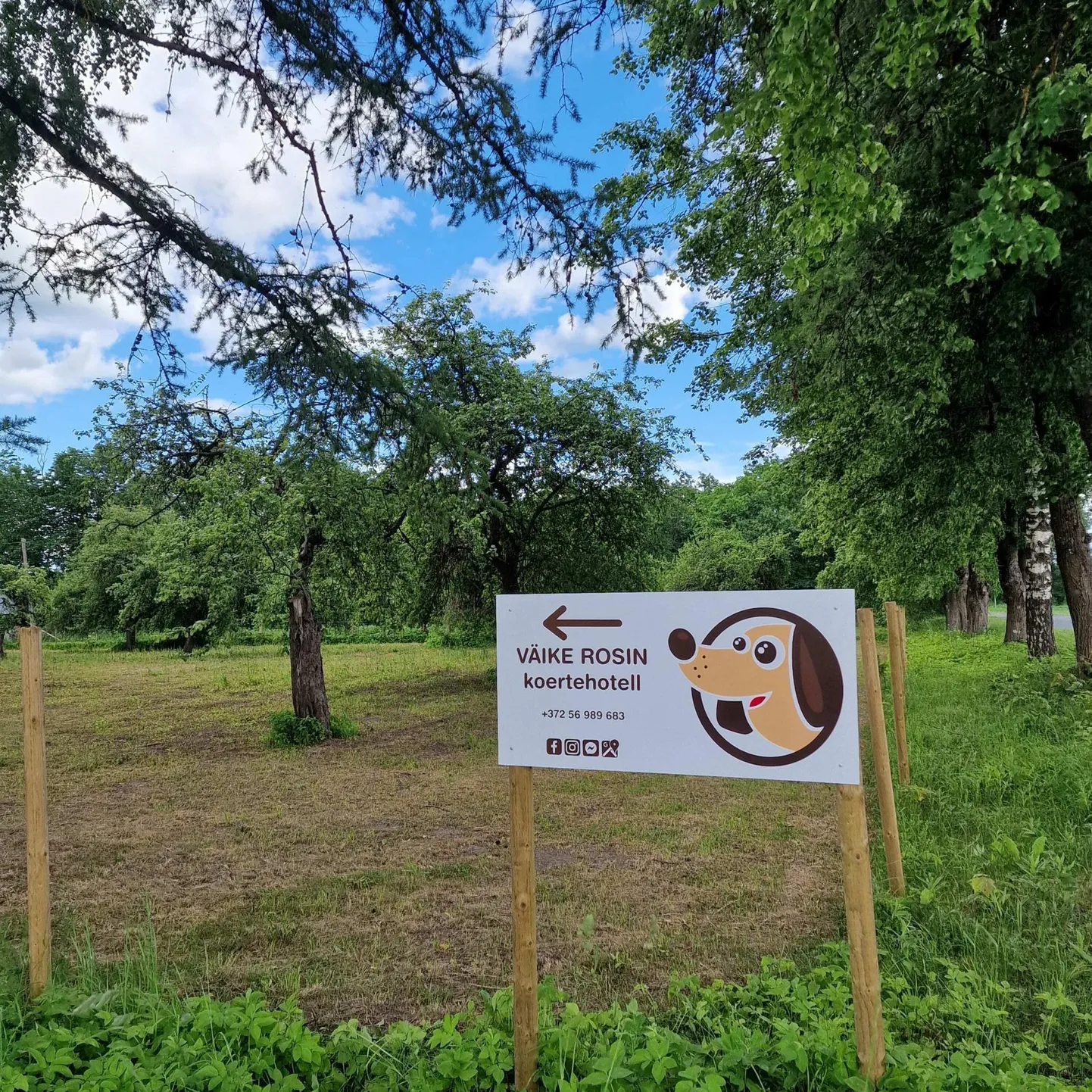 Koertehotelli kubamärk pävis preemia.