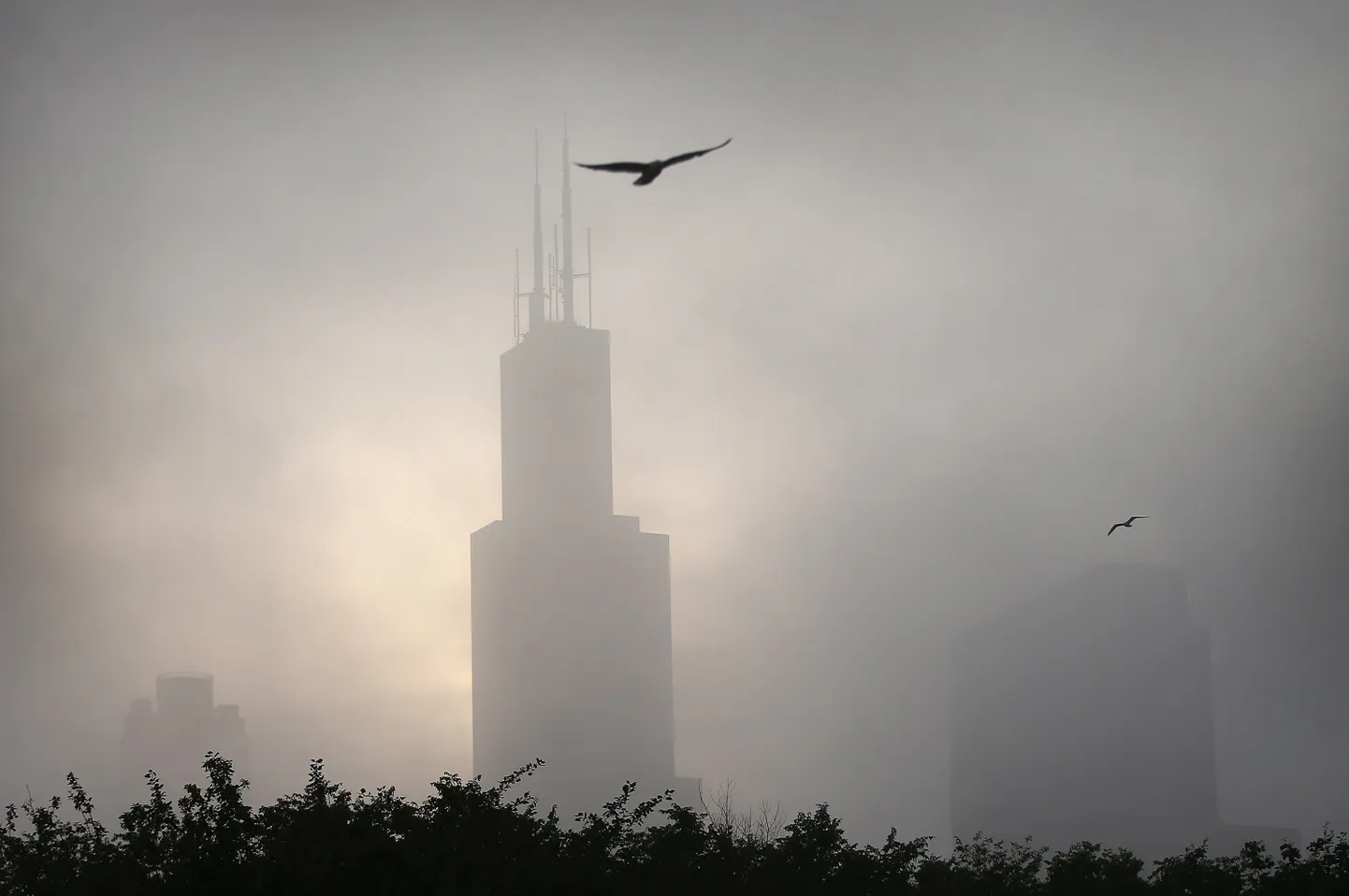 Chicago sudus.
