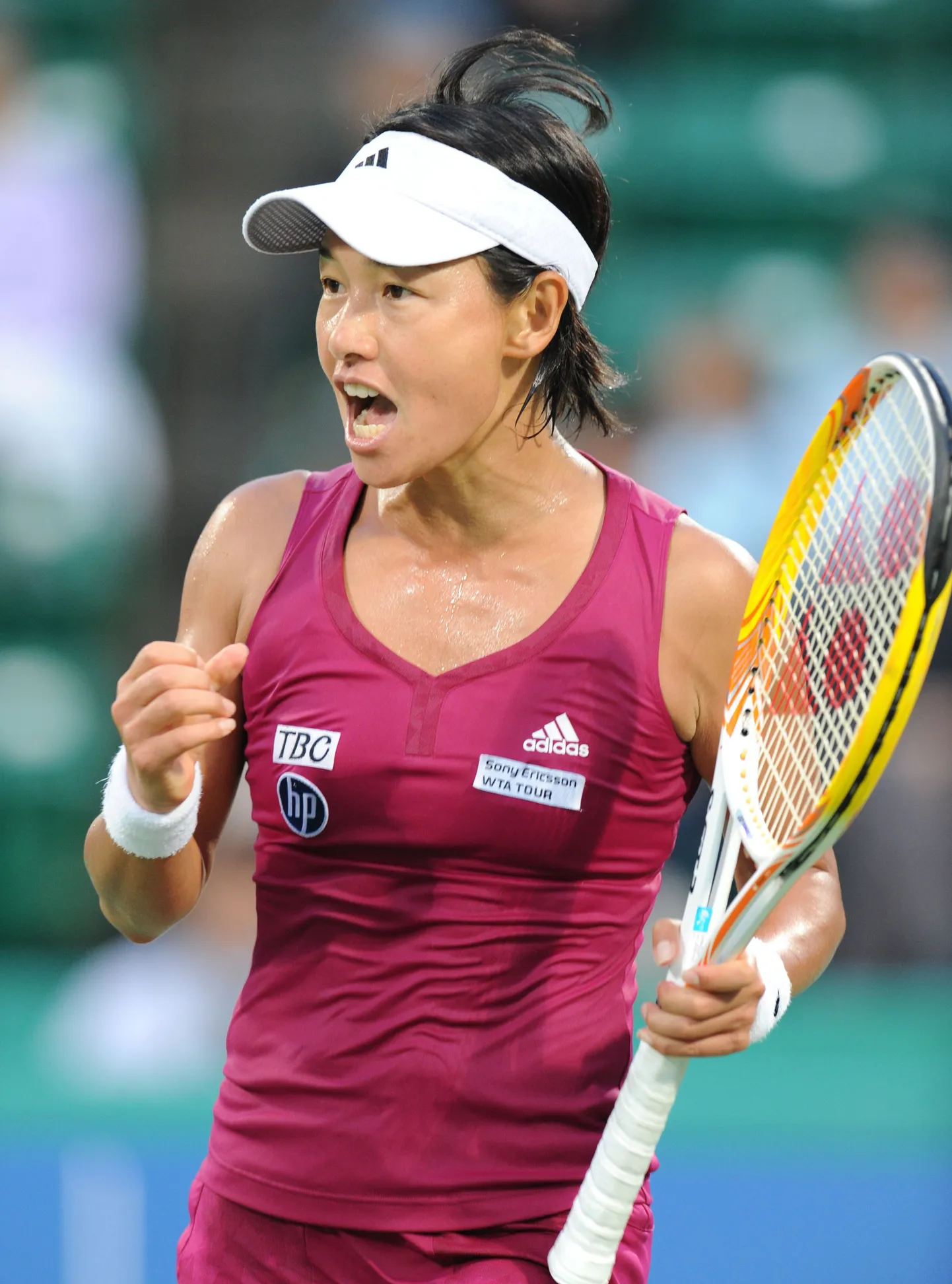 Kimiko Date Krumm