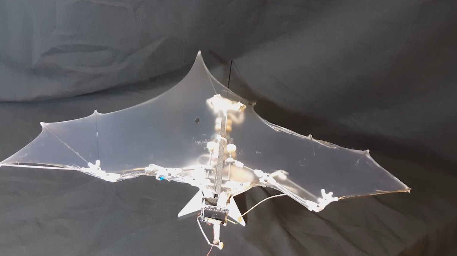 Nahkhiirest inspireeritud lennurobot BatBot