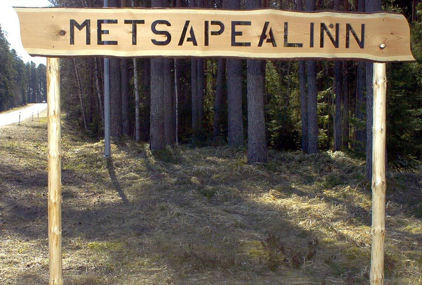 Eesti metsaselts nimetas 2009. aasta metsapealinnaks Viljandi.