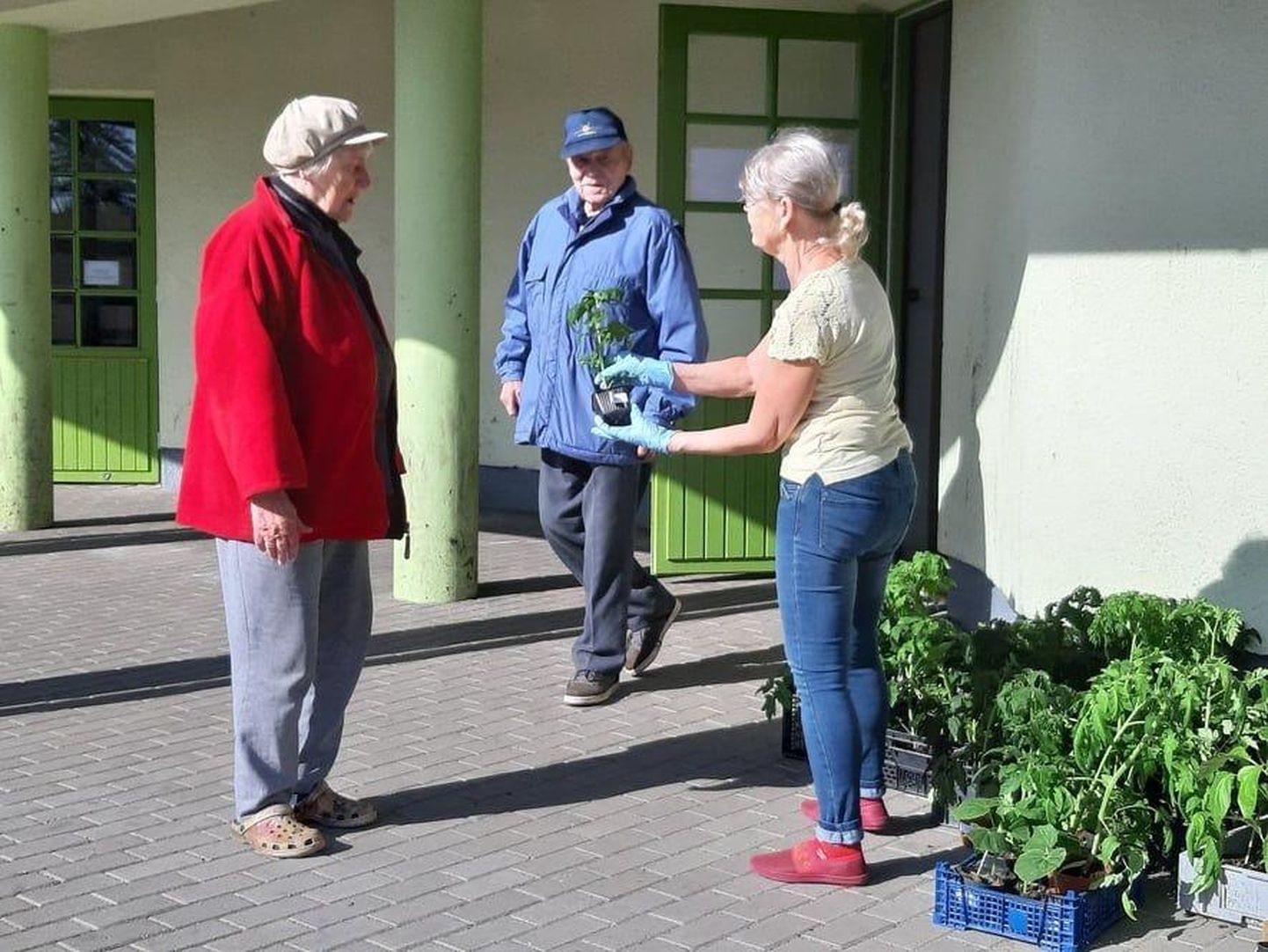 Väike-Maarja bussijaama ruumides tegutseb taluturg, sel nädalal on õues taimenädal.