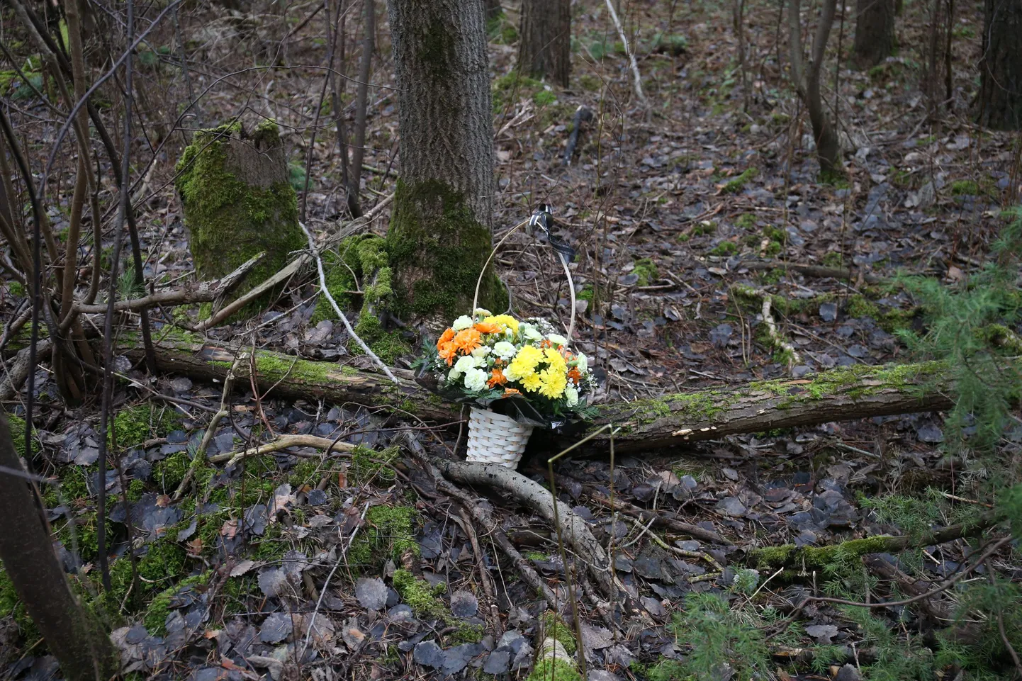 Lillekorv 14-aastase Darja surnukeha leidmiskohal Narvas.