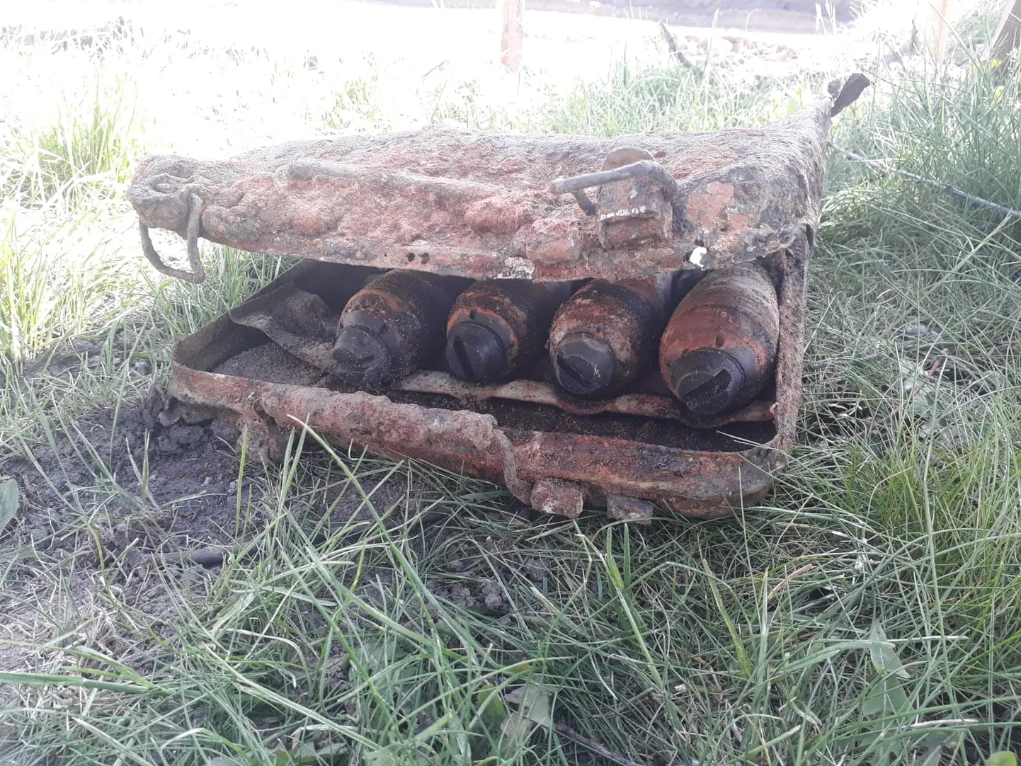 Фото статьи