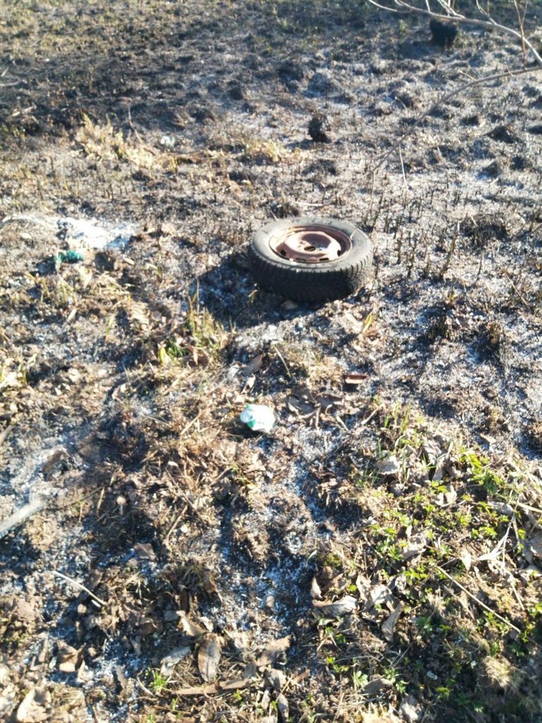 В волости Мульги мужчина сжег мусор в костре, спровоцировав ландшафтный пожар.