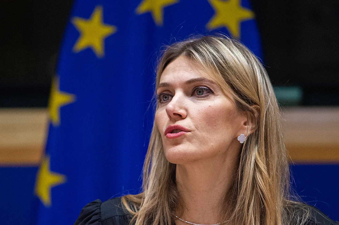 Raksta foto