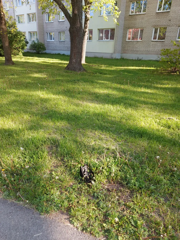 Фото статьи