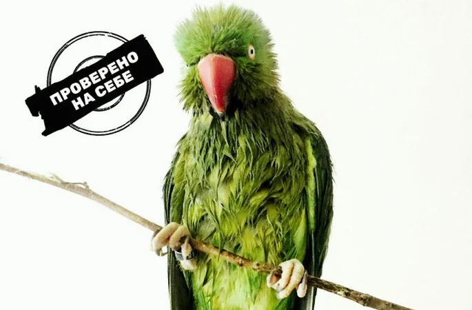 Жігіт жалап, балапан соратын порно