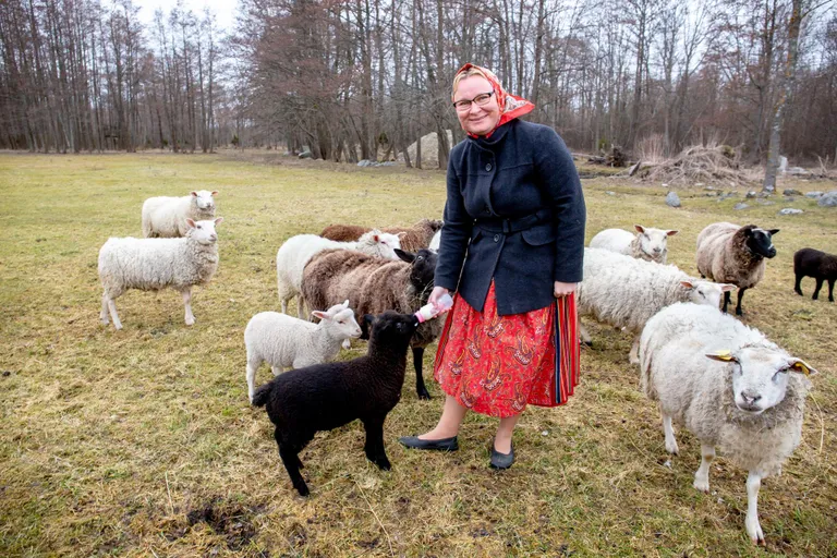 Mare Mätas.