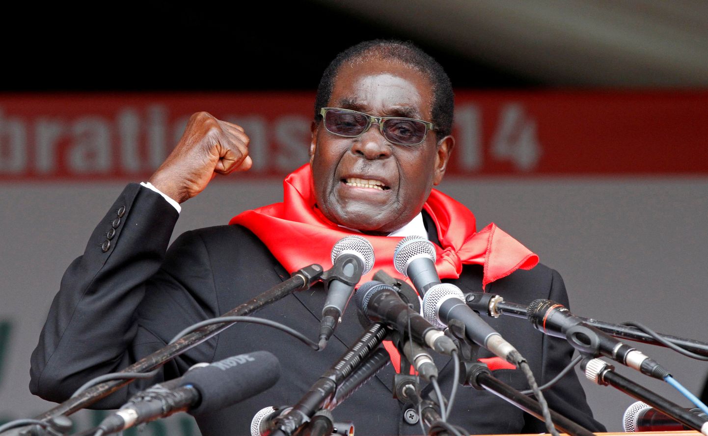 Zimbabwe president Robert Mugabe 2014