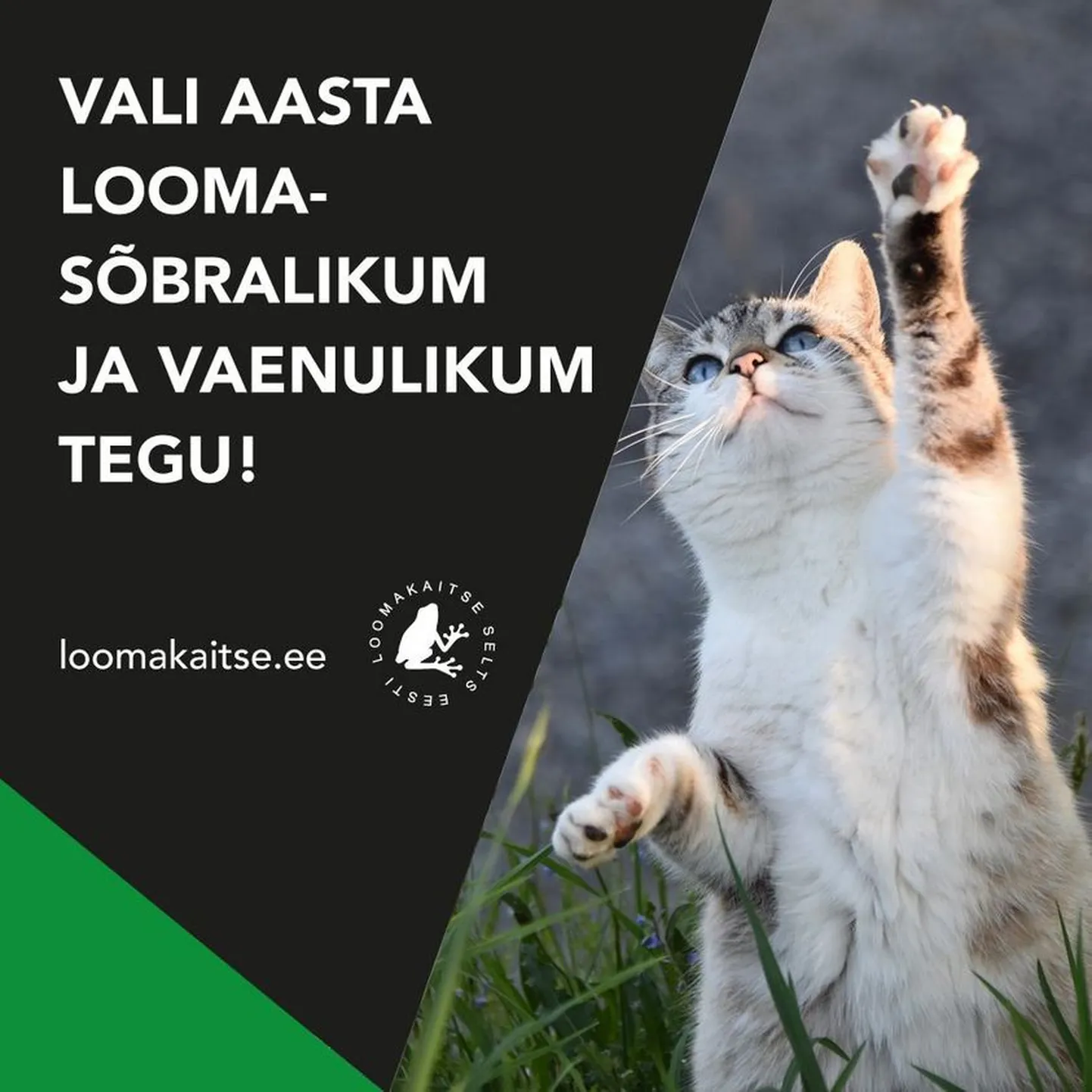 Anna oma hääl!