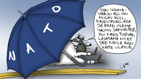 JUHTKIRI ⟩ Parim kaitse on rünnak