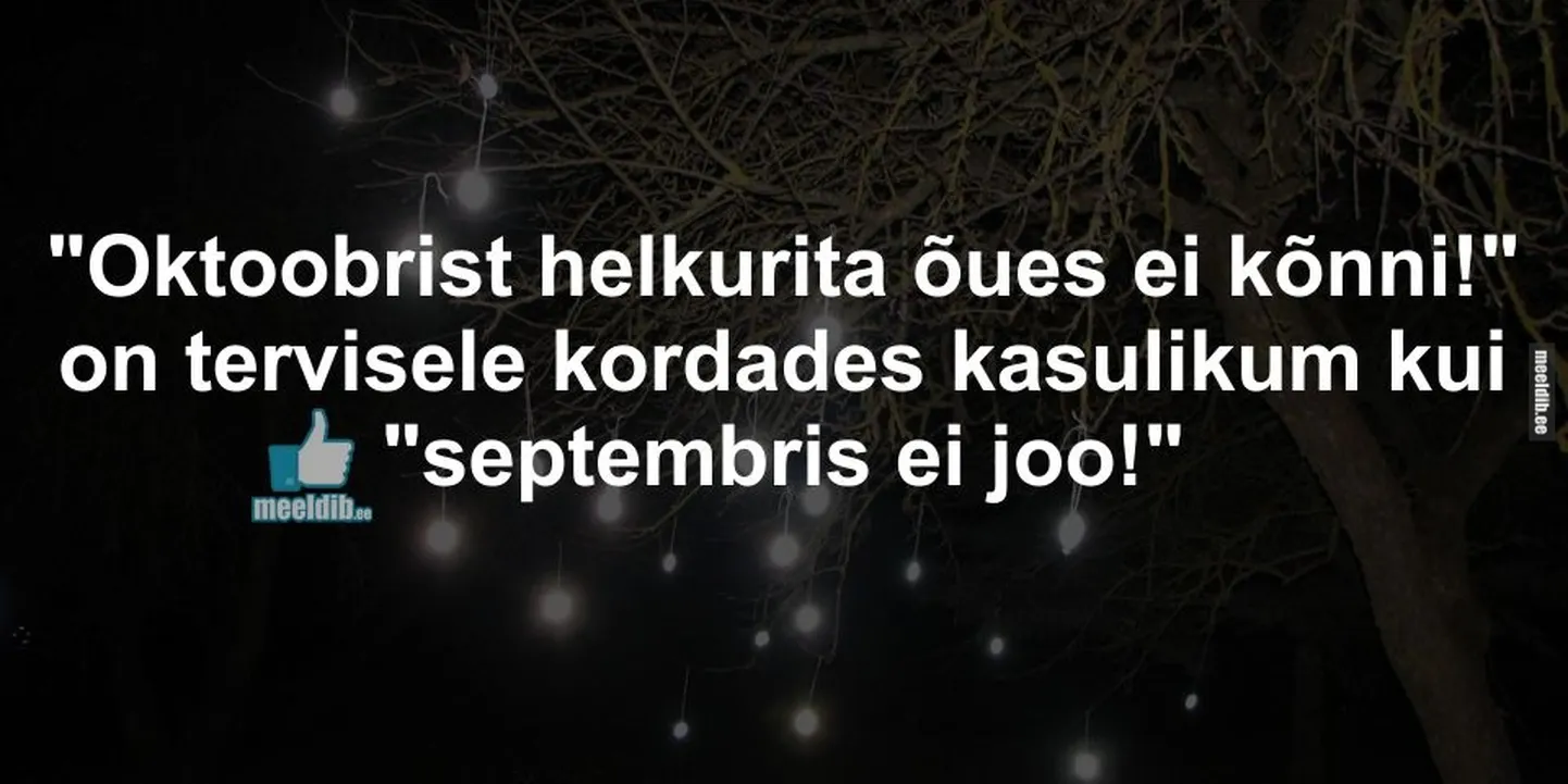 Artikli foto