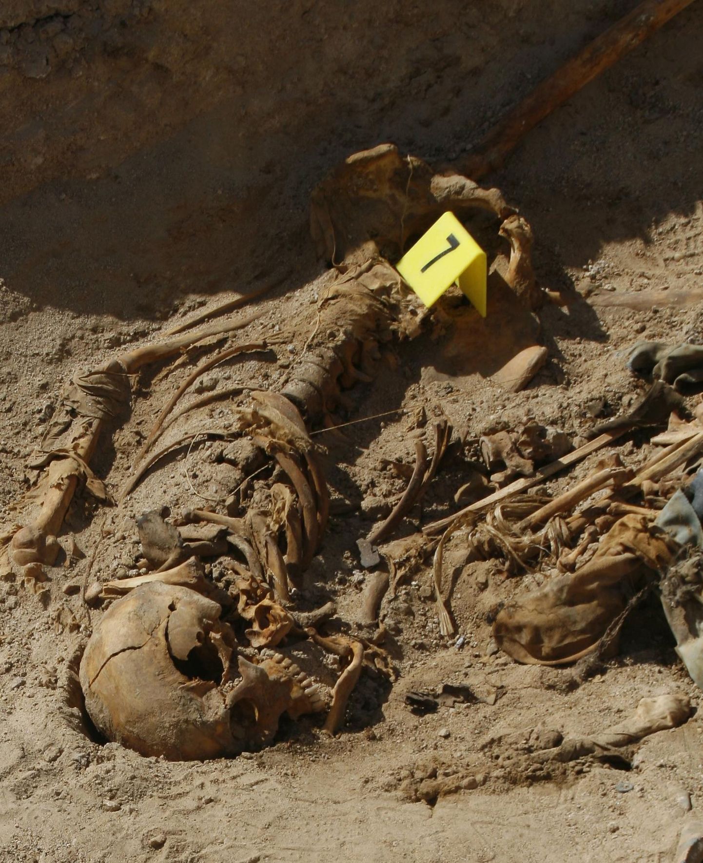 Parkla alt paljastusid 1700 aasta vanused skeletid