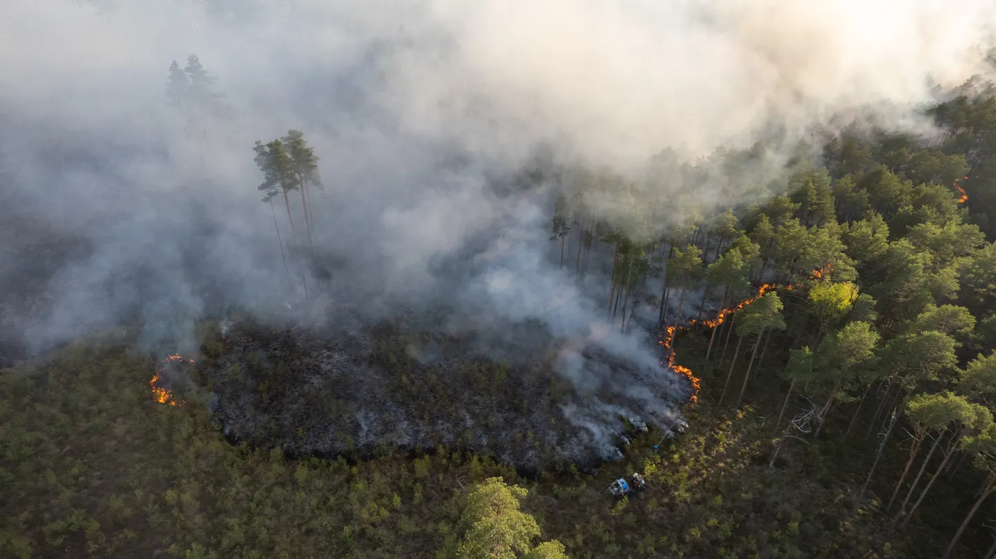 Sultsi külas maastiku- ja metsapõleng 13. mail 2023. aastal. Foto on illustreeriv.