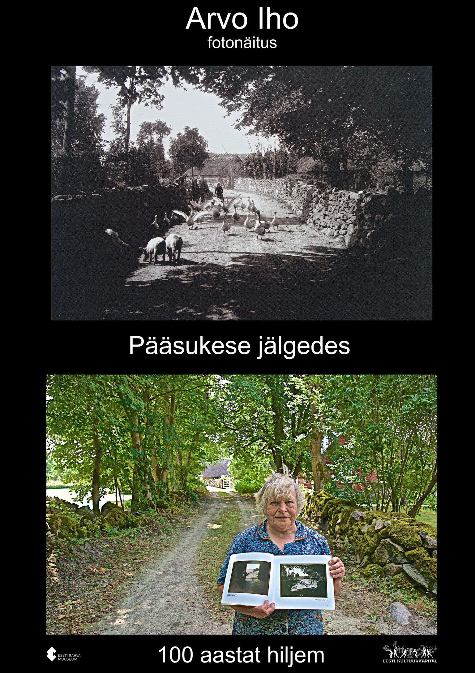 Külatänav