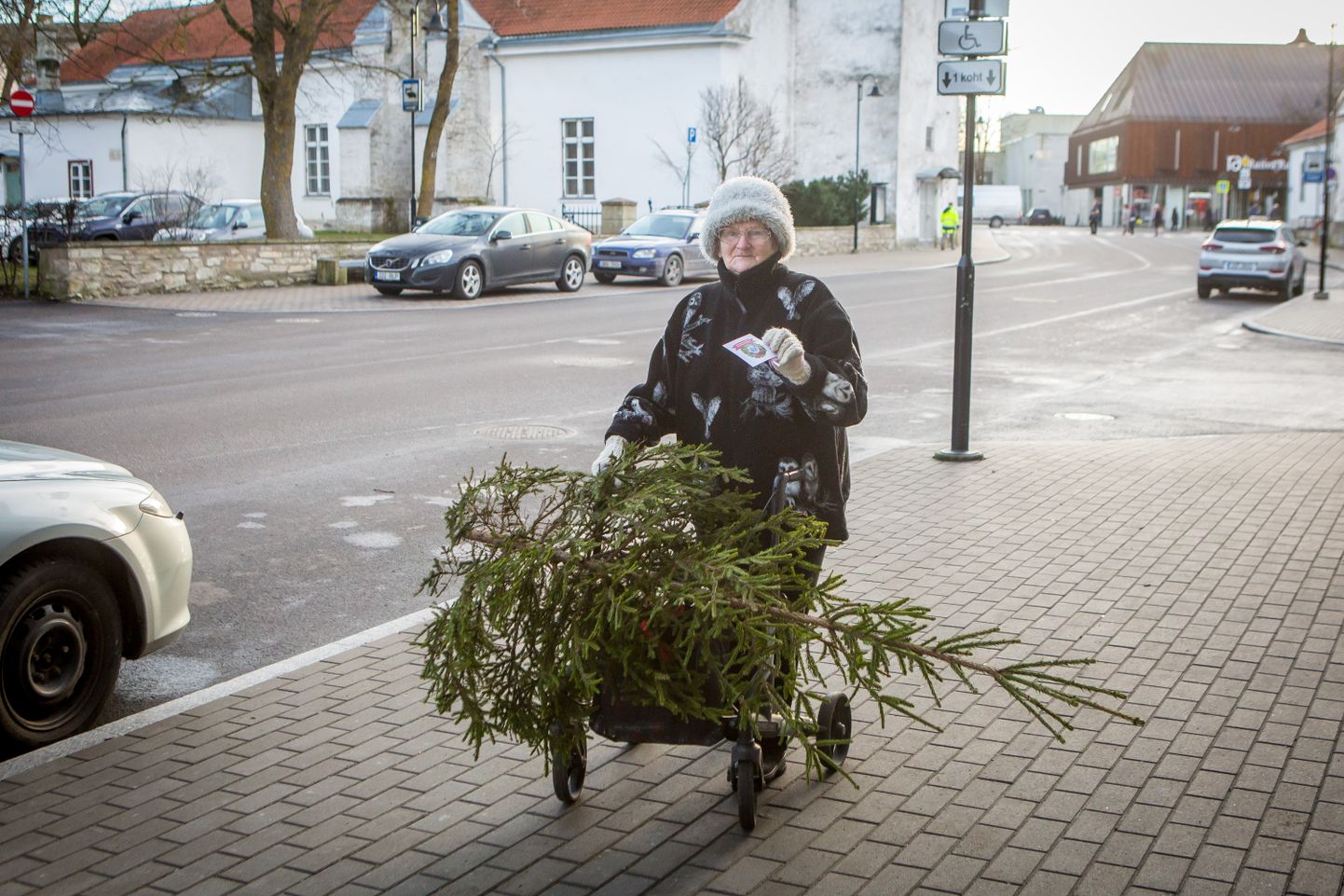 ESIMENE: Kuressaare Lions-klubi esimese jõulupuu ostis Juta Lomp, kes kuusekese rõõmuga koju viis.