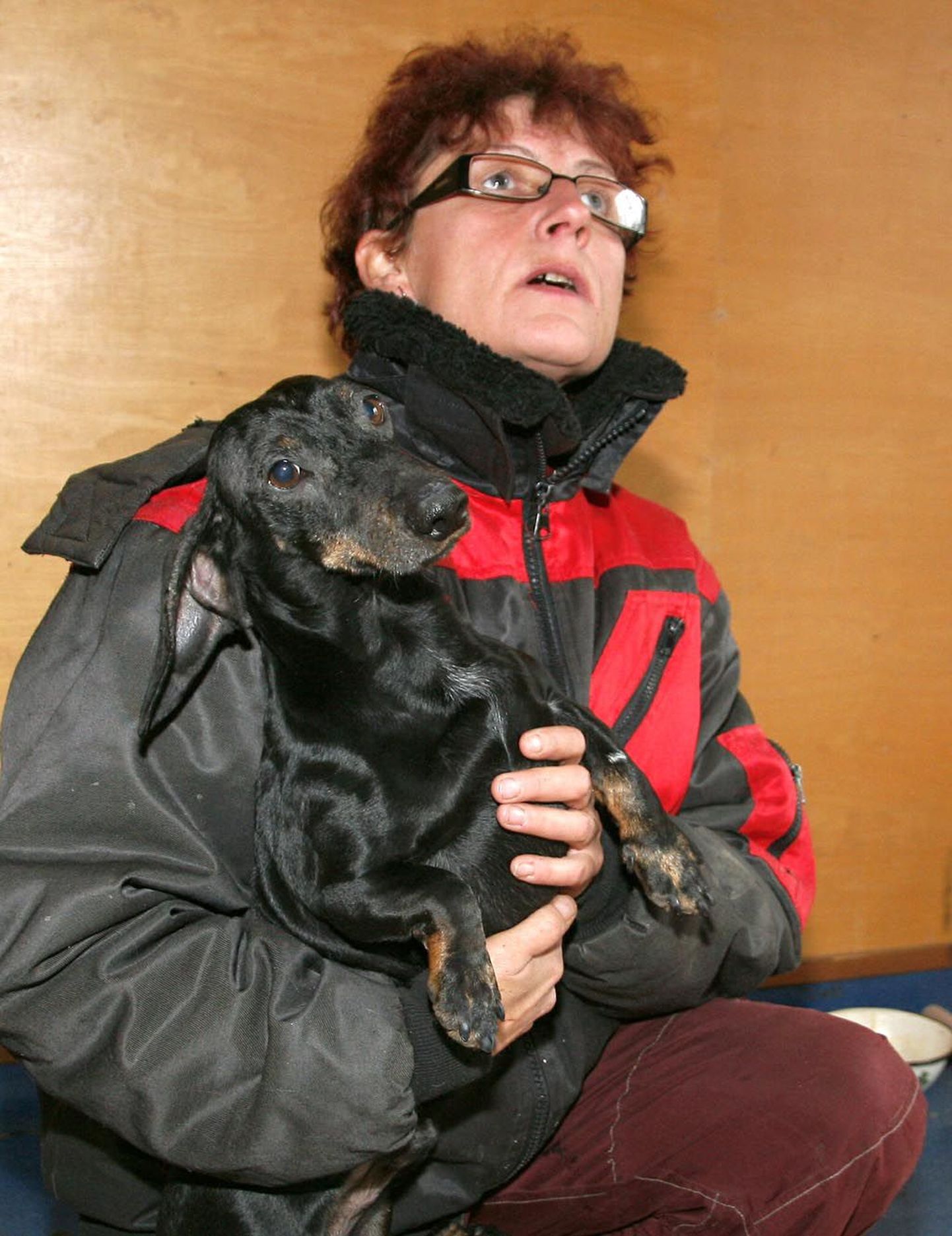Taks-Taks püsib varjupaiga töötaja Lilian Herne süles vaid hetke, muidu ei seisa koerake pudeliski paigal.