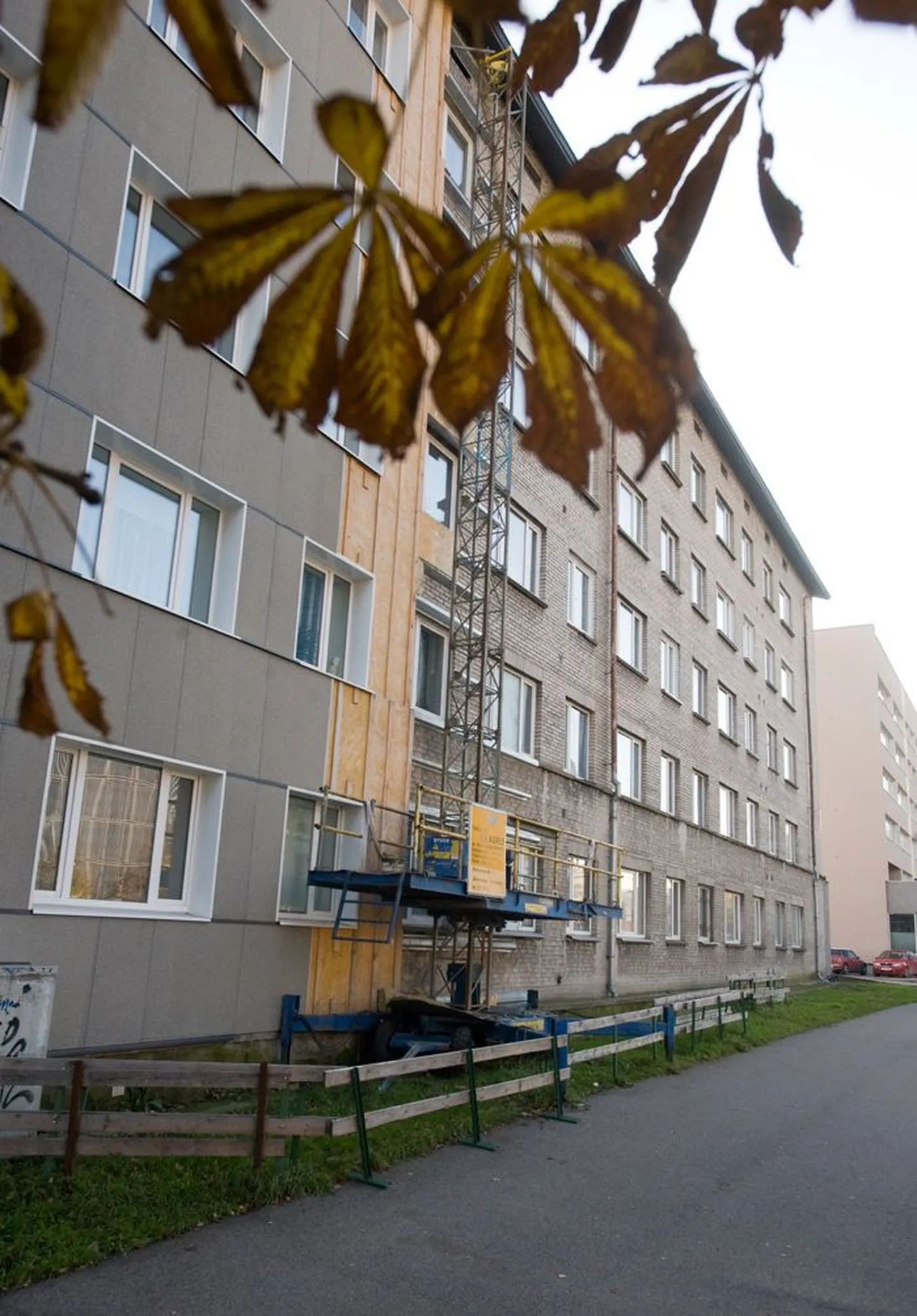 Фото статьи