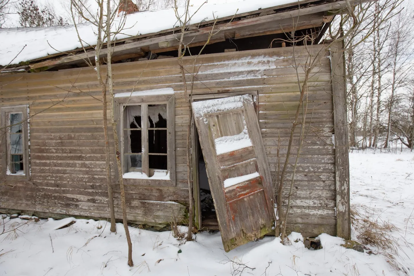 Kinnistul seisvast eluhoonest on järel vaid varemed.
